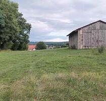 Wiese Weide + Halle (ca. 2300 m2) zu verpachten - Alsfeld