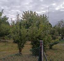 Kleingarten mit vielen Obstbäumen zu vergeben - Hannover Herrenhausen-Stöcken