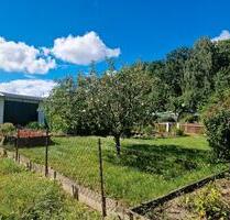 Liebevoll gepflegter Garten abzugeben - Limbach-Oberfrohna