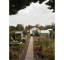 Schrebergarten im KGV Giesewiesen - Baunatal