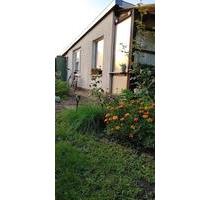 Traumhafter Garten mit renovierter Laube am Senftenberger See - Dresden Neustadt
