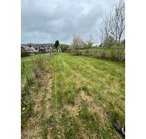 Vermietung 400 m² Gartengrundstück – vielseitig nutzbar - Mandelbachtal