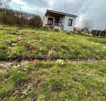 Garten im KGV ( Kleingarten, Schrebergarten ) - Großschirma