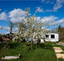 Garten in Kleingartenanlage abzugeben - Greifswald