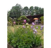 Ferienhaus Bad Saarow - 60,00 EUR Kaltmiete, in Bad Saarow (PLZ: 15526)