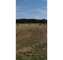 Grünland , Buxtehuder Moor - 3,00&nbsp;EUR Kaltmiete, ca.&nbsp; 0,00&nbsp;m&sup2; in Buxtehude (PLZ: 21614)