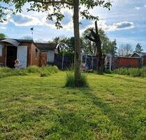 pachtgarten in mühlhausn zu übergeben - Mühlhausen (Thüringen)