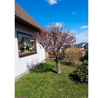 Einfamilienhaus - 200.000,00 EUR Kaufpreis, in Neuhaus am Rennweg (PLZ: 98724)