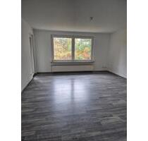 Helle 3- Zimmerwohnung mit Balkon - Celle Altenhagen