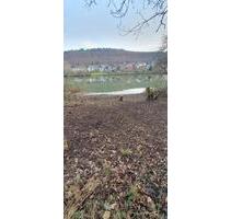 Freizeitgrundstück direkt am Neckar. TOP-LAGE! Angler aufgepasst! - Heidelberg Peterstal