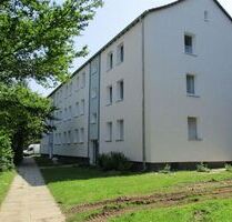 Wer will mich!? Praktische 2-Zimmer-Wohnung - Bochum Bochum-Südwest
