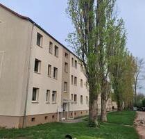 Frisch sanierte 3-Raum WE mit EBK und großem Gemeinschaftsgarten - Aschersleben