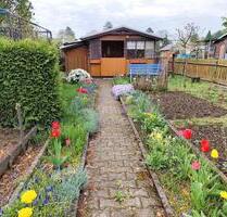 Gepflegter Kleingarten in Nähe Geibeltbad - Pirna