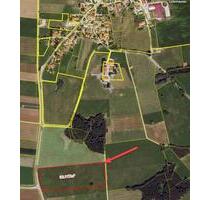Landwirtschaftliche Fläche Grünfläche Grünland Wiese 3,6 Ha - Reichling