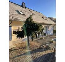 Traumhafte 6 ZKB, ca. 165 qm, mit EBK, großem Tageslichtbad, Kinderbad, Gäste WC und Balkon - Wincheringen