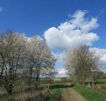 Großes Haus mit Keller und Garten nähe Hennef Uckerath - Hennef (Sieg)