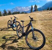 Neue NachbarInnen zu bieten - 1.200,00 EUR Kaltmiete, in Dresden (PLZ: 01326) Loschwitz