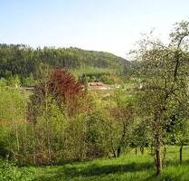 Freizeitgrunstück bei RottenburgTübingen zu verpachten - Rottenburg am Neckar