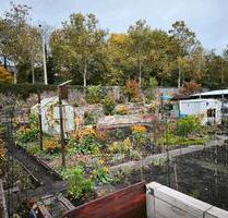 Garten abzugeben - 1.000,00 EUR Kaltmiete, ca.  0,00 m² in Dresden (PLZ: 01067)