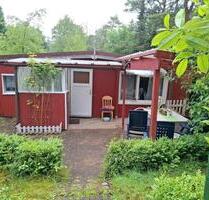 Gepflegtes, idyllisch im Wald gelegenes Mobilheim am Moränasee - Soltau