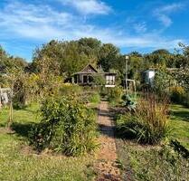 Garten zur Pacht in Leipzig-Mockau