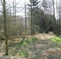 GrünflächeUnland mit Bäumen und Sträuchern - Bad Brambach