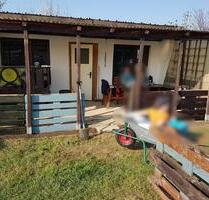 Kleingarten - 500,00 EUR Kaltmiete, ca.  0,00 m² in Thale (PLZ: 06502)