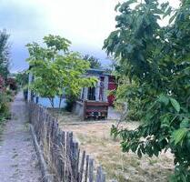 Kleingarten mit Steinlaube ca. 260 m² Cossebaude - Dresden