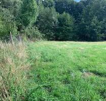 *Lederhose A9 Alleinlage Wald&Feld*Stellplatz Autocamper Caravan* - Münchenbernsdorf