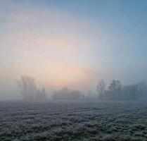Kuschelige 2 Zimmer Wohnung mitten in der Natur - Bad Buchau