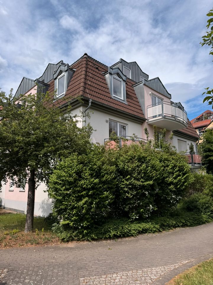 schnuckelige 2 Raum Wohnung nahe der Elbe - Dresden Blasewitz