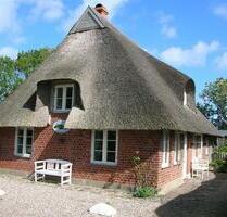 Ferienhaus Ostsee Fehmarn 8 Pers. Hunde Kamin Garten, Spielplatz