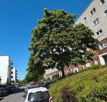 3 Raum Wohnung EG Toitenwinkel - 543,00 EUR Kaltmiete, ca.  64,00 m² in Rostock (PLZ: 18147) Gehlsdorf