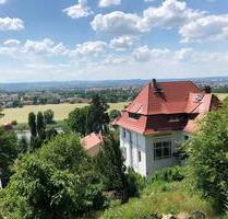 Möblierte offene Wohnung mit Einbauküche in exponierter Lage - Dresden Loschwitz