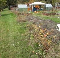 Kleingarten zur Pacht in 06895 Zahna - Zahna-Elster