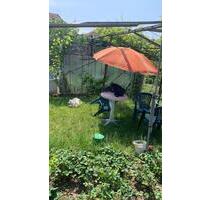 Garten mit einer Hütte - 1.500,00 EUR Kaltmiete, ca.  0,00 m² in Freital (PLZ: 01705)