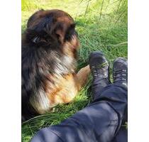 Ferienhaus in der Eifel Urlaub mit Hund - Kaisersesch