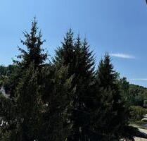 Wunderschöne 3 Zimmerwohnung mit Balkon JETZT verfügbar - An der Schmücke