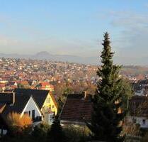 2 Zimmer DG Wohnung mit schöner Aussicht - Wannweil