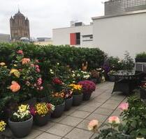 Nachmieter 3 - Raum - Wohnung Stralsund Altstadt