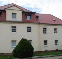 STOPP! 4 - Raum Wohnung in traumhafter Lage! - Rochlitz