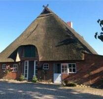 Ferienhaus Ostsee Fehmarn 5 Pers, WLan, Hunde, Garten, Zaun - Heringsdorf