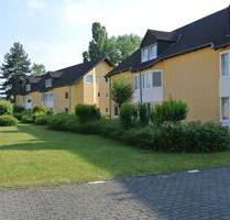 Schönes helles Apartment in gepflegter Anlage Bonn Beuel zum 1.2. - Sankt Katharinen