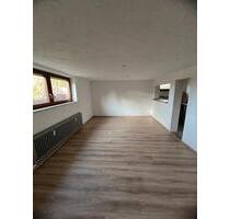 1-Zimmer-Souterrainwohnung mit neuer Küche und separatem Eingang - Buchen (Odenwald)