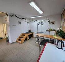 Hunde-Friseursalon in Villingen zu vermieten – ab 01.01.2026 - Villingen-Schwenningen