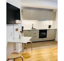 2 Zimmer Apartment Wohnung Voll möbliert NEU renoviert neue EBK - Berlin Treptow-Köpenick