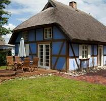 Ferienhaus Ostsee Usedom strandnah, 4 Pers., Hunde gern, Zaun