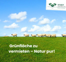 Grünfläche zu vermieten! - 100,00 EUR Kaltmiete, ca.  0,00 m² in Bad Sulza (PLZ: 99518)
