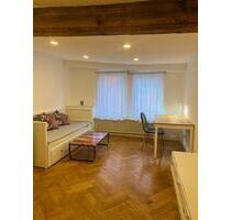 Nette vollmöblierte 1-Zi-Wohnung mit Charme zu vermieten - Frankfurt am Main Unterliederbach