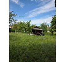 Baumgrundstück mit Gartenhütte zu verpachten Waiblingen-Beinstein